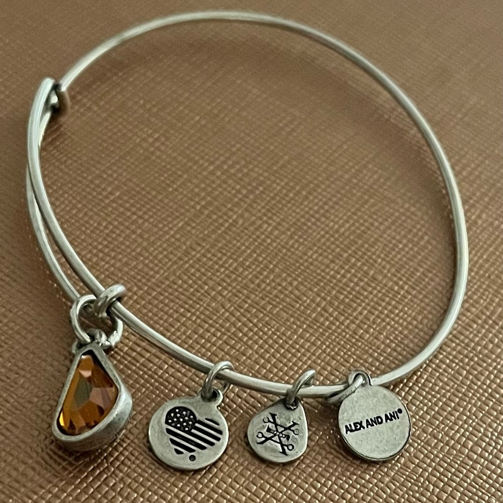 Alex and Ani charm bangle bracelet.